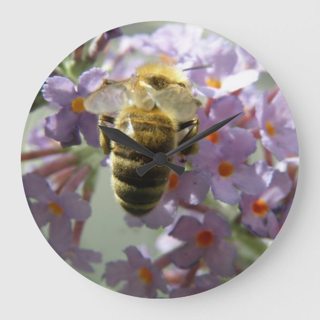 Relógio Grande Clock de Honeybee e Buddleia Flowers (Frente)