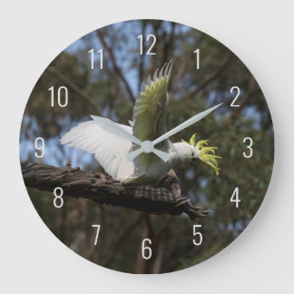 Relógio Grande Cockatoo Pássaro Papagaio Voa Voa Avião Austrália
