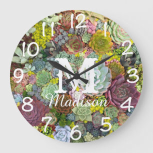 Relógio Grande Colorido Genérico Suculentos