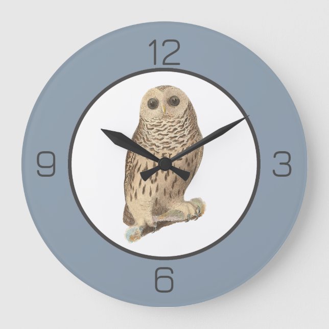Relógio Grande Coruja Barred - Aniversário ou Outro Evento Pensad (Frente)