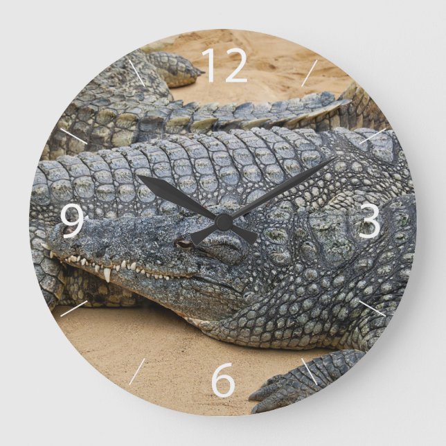 Relógio Grande Crocodilos (Frente)