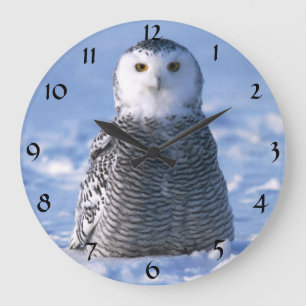 Relógio Grande Cute Alaska Artic Snowy Owl Winter Photo Designed
