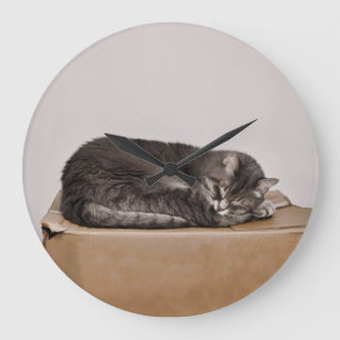 Relógio Grande Cute Gray Tabby Cat Sleeping On Box
