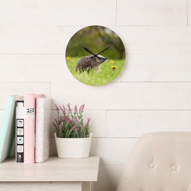 Relógio Grande Cutest Baby Animals | European Hedgehog (Sala de leitura)