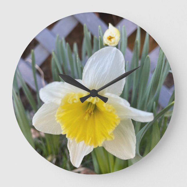 Relógio Grande Daffodils Amarelos #1 (Frente)