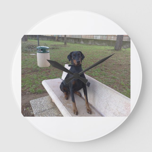 Relógio Grande doberman pincher sentado (Frente)