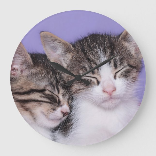 Relógio Grande Dois gatinhos bonitos que Napping (Frente)