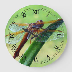 Relógio Grande Dragonfly no Aloe Macro Wall Clock
