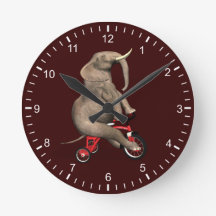 Elefante Cujo Ciclo Ande É Um Triciclo