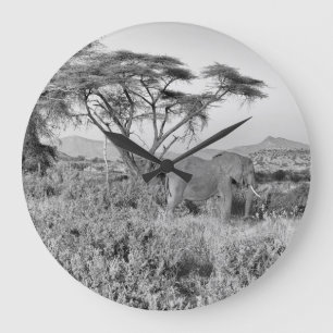 Relógio Grande Elefante em Samburu