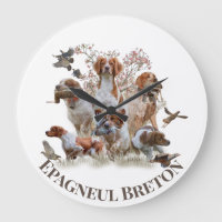 Epagneul Breton, Bretanha Spaniel