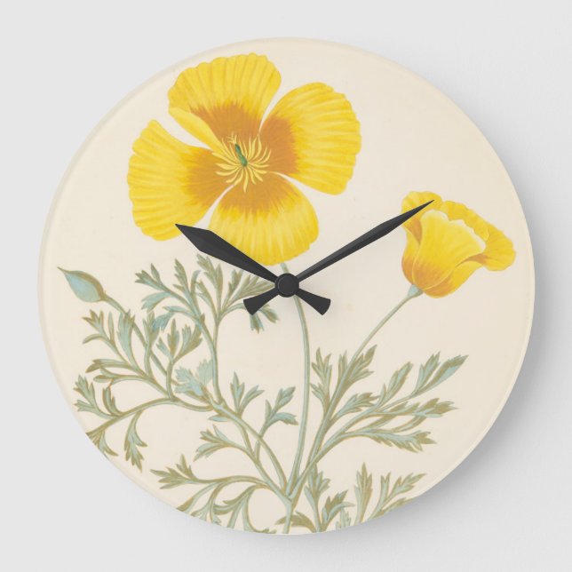 Relógio Grande Eschscholtzia californiano (Frente)