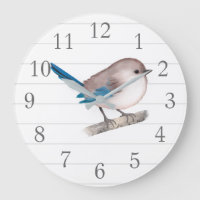 Esplêndida Fairy Wren Bird em Branch