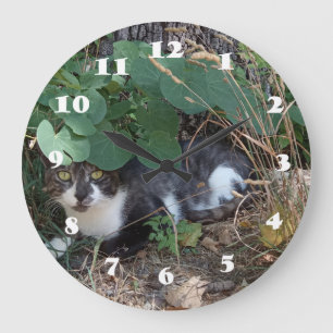 Relógio Grande Eu sou o gato invisível