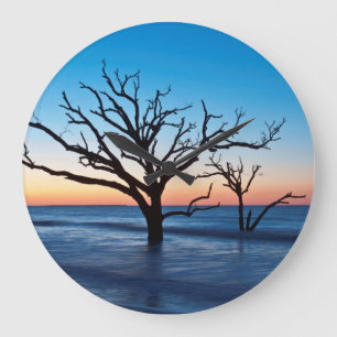 Relógio Grande EUA, Carolina do Sul, Edisto Island, Botany Bay