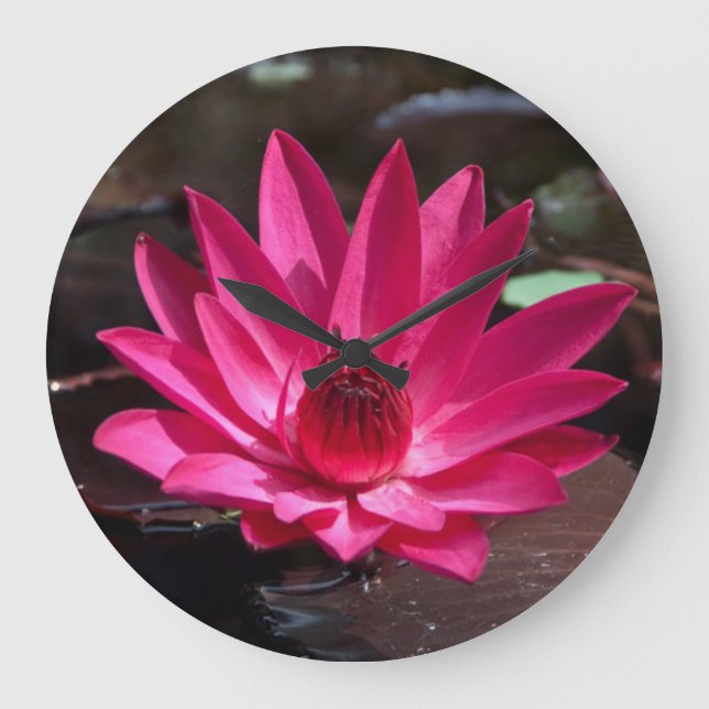 Relógio Grande EUA, Kansas, Bright Red Water Lilly (Frente)