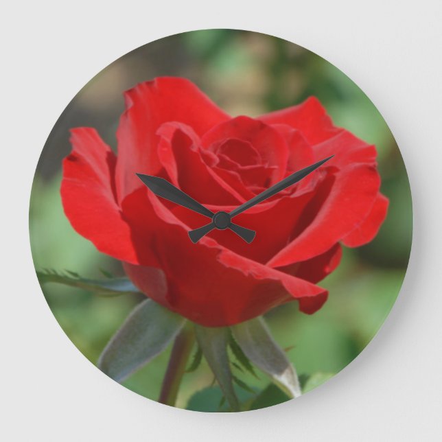 Relógio Grande EUA, Kansas, Rosa vermelha (Frente)