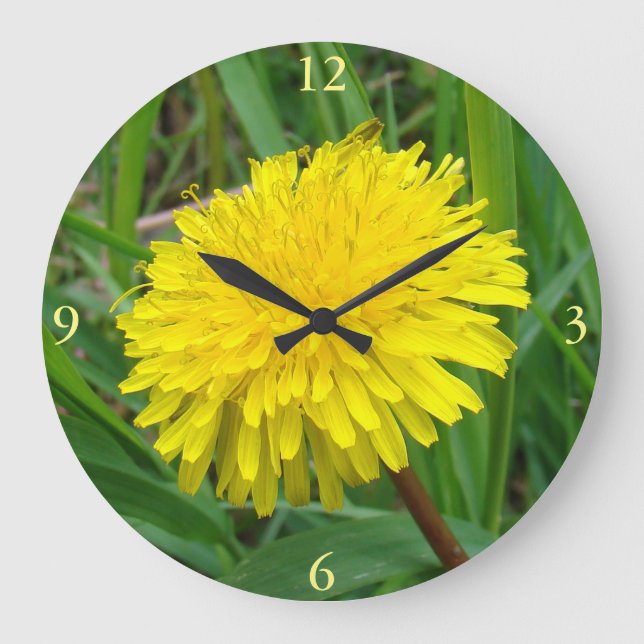 Relógio Grande F45 Dandelion "Taraxacum officinale" (Frente)