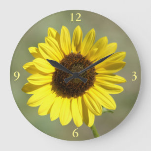 Relógio Grande F47 Flor Amarela Selvagem Girassol Anual Comum
