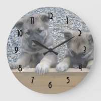 Filhotes de cachorro de Elkhound do norueguês