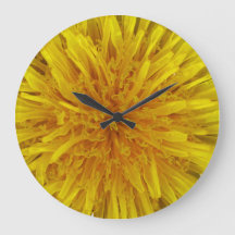 Flor Amarelo Dandelion Sem Dígitos