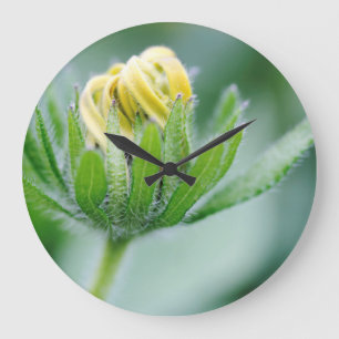 Relógio Grande Flor De Abertura Da Flor Cone