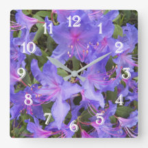 Flores de Rhododendron Roxo