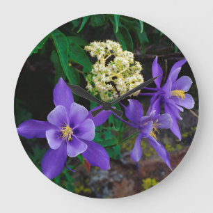 Relógio Grande Flores Silvestres Mutantes Columbine