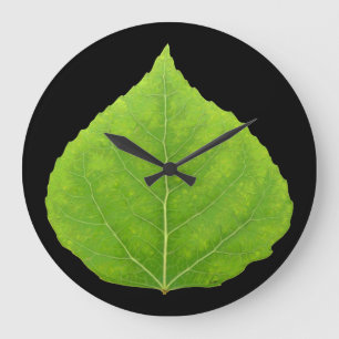 Relógio Grande Folha Verde Aspen #11