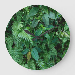 Relógio Grande Folhagem de Grama Verde-Fern