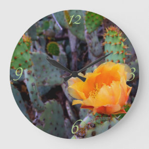 Relógio Grande Foto alaranjada da flor do cacto do Opuntia da