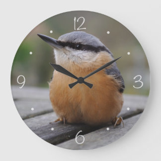 Relógio Grande Foto de Nuthatch