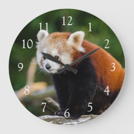 Relógio Grande Foto de Panda Vermelho Selvagem Fofo