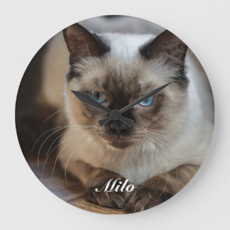 Relógio Grande Foto e Nome de Gato Ragdoll Personalizados