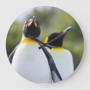 Relógio Grande Fotografia orgulhosa do rei dos pinguins