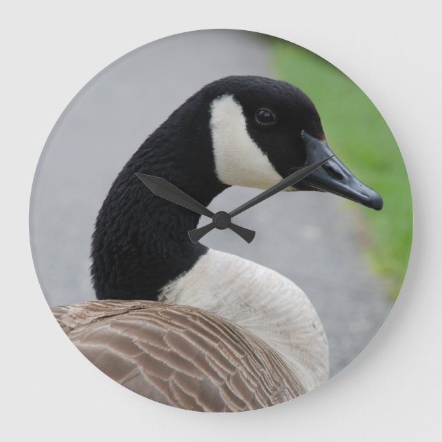Relógio Grande Ganso do Canadá (Frente)