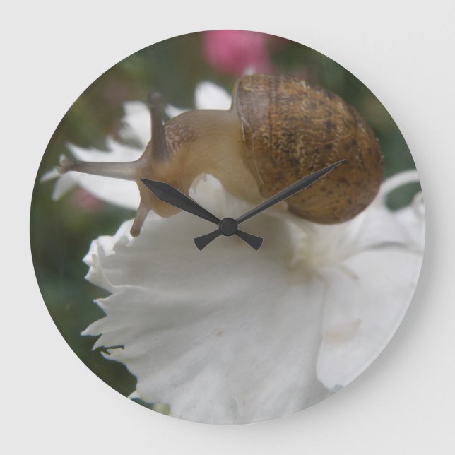 Relógio Grande Garden Snail e White Carnação Wall Clock (Frente)