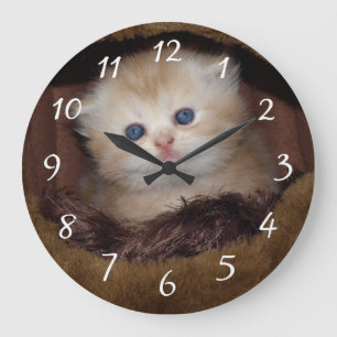 Relógio Grande Gatinho de olhos azuis macios