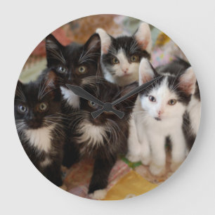 Relógio Grande Gatinhos do smoking