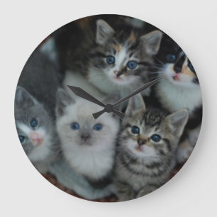 Relógio Grande Gatinhos em uma cesta