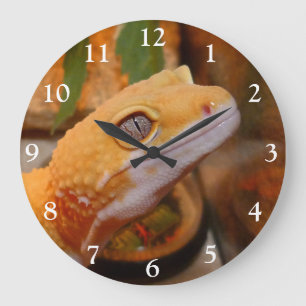 Relógio Grande Gecko Amarelo-Leopardo
