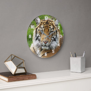 Relógio Grande Grande Felino Tigre de Sumatra Foto
