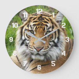 Relógio Grande Grande Felino Tigre de Sumatra Foto