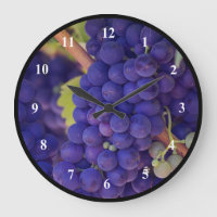 Grande Monte de Uvas Roxas Suculentas