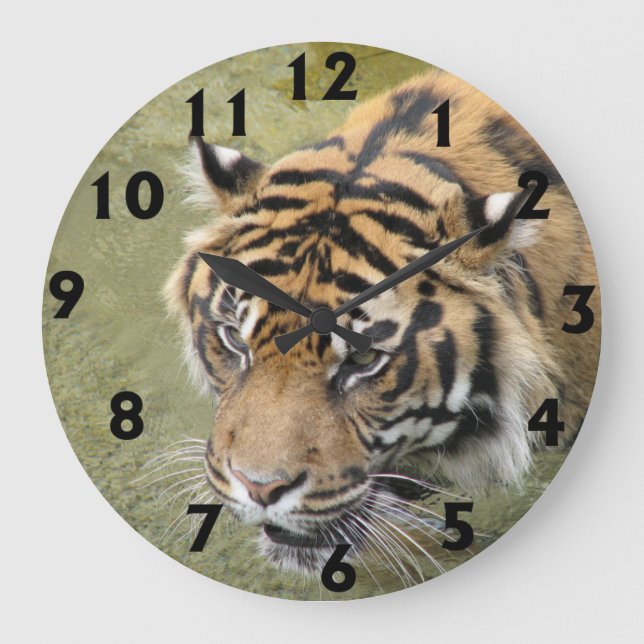 Relógio Grande Grande pulso de disparo do tigre (Frente)