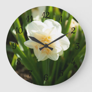 Relógio Grande Grandes narcisos brancos em um dia de primavera