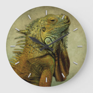 Relógio Grande Green Iguana