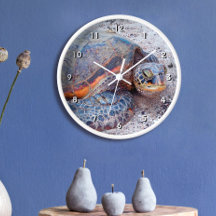 Hawaii Honu Sea Turtle Tropical Beach Fotografia M