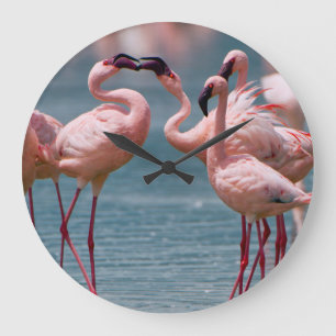 Relógio Grande Homem dois poucos flamingos (menor de