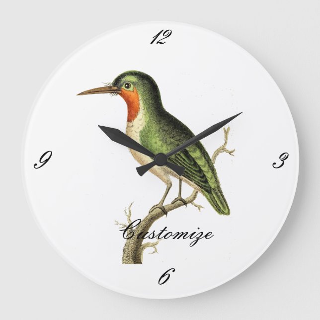 Relógio Grande Hummingbird Perked Thunder_Cove (Frente)